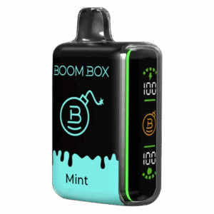 Boom Box Minze DE