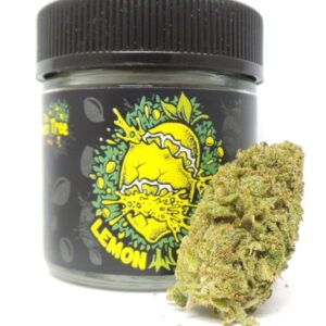 Alternative view of Lemon Tree Can – 50