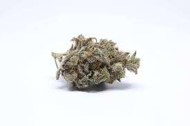 Oldtimer’s Haze Marijuana Strain DE