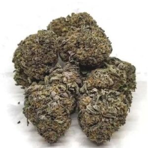 Blue Cheese Strain DE