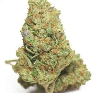 Shadow Dancer Marijuana Strain DE