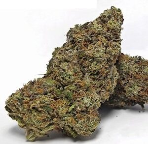 Tropicanna Banana Weed DE