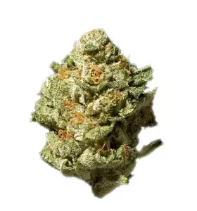 619 Saturn OG Cannabis Strain DE