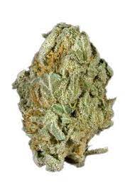 Buy Full Moon Marijuana Strain DE