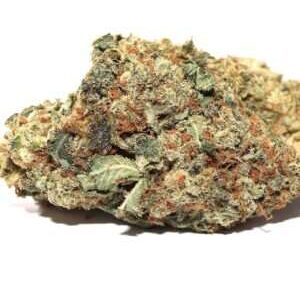Buy Pinetrak Marijuana Strain DE