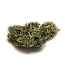 Buy Pine OG Marijuana Strain DE