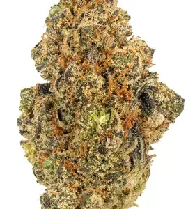 Animal Mints Cannabis Strain DE