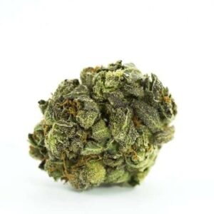 Bio Diesel Marijuana Strain De