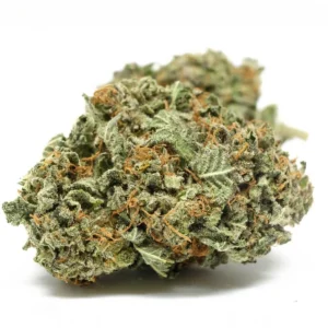 Black Domina Cannabis Strain DE