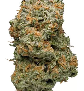 Buy Blue Dream Weed Strain De