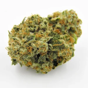 Buy Kosher Kush Marijuana Strain DE