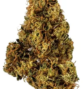 91 Chemdawg Weed Strain DE