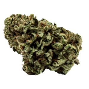 City Slicker Cannabis Strain DE