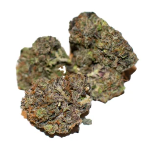 Night Terror OG Marijuana Strain De