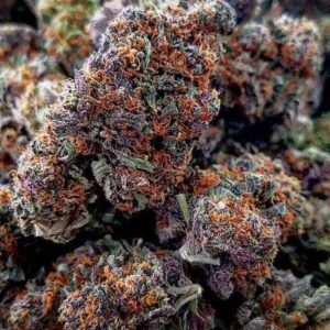 Buy Moloka’i Purpz Cannabis Strain De