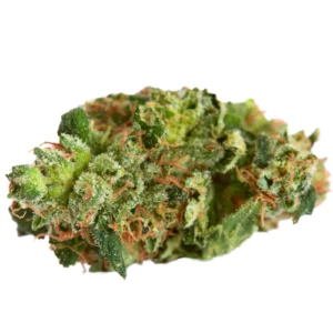 Green Dragon Weed Strain DE