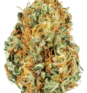 LaLa Land Cannabis Flower DE