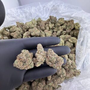 Alternative view of Lemon Wafers OG Kush 1 Pfund