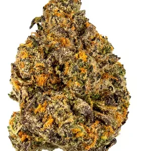Buy Mag Landrace Weed Strain DE
