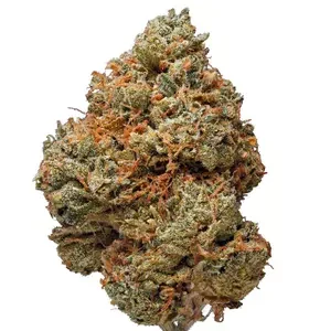 Night Terror OG Cannabis Flower DE