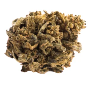 Pakistan Valley Kush Marijuana Strain DE