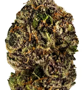 Platinum Purple Weed Strain DE