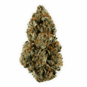 Buy Purple Kush Weed Strain De