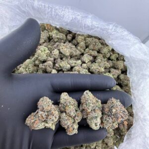 Alternative view of Lemon Wafers Silver Haze 1 Pfund