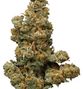 Buy Somango Weed Flower DE