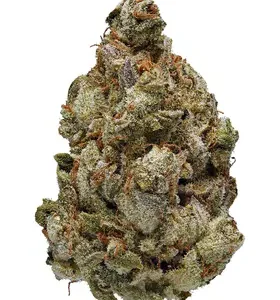 Buy Toxic Marijuana Strain DE