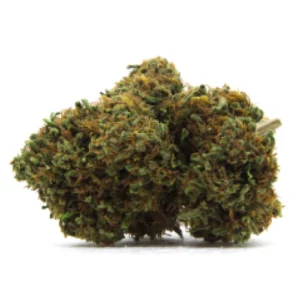 White Fire 43 Marijuana Strain De