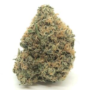 Chocolate Thai Weed Strain DE