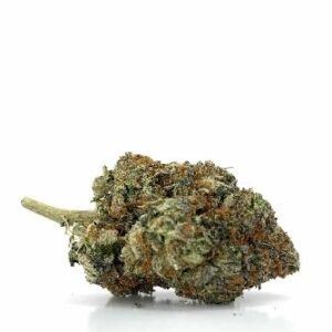 Stardawg Strain DE