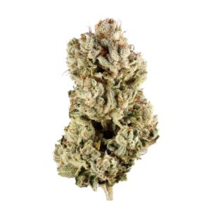 Buy Zookies Weed Strain De