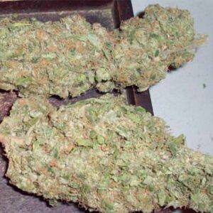 Buy Laos Cannabis Strain DE