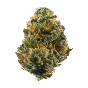 Mail Order Blaze Weed Strain DE