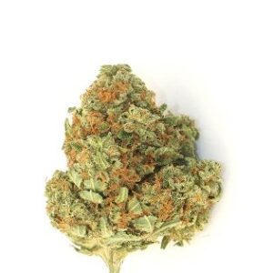 Watermelon Z Weed DE