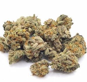 Hash Plant Marijuana DE