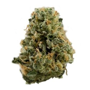 Buy Super Sour Diesel Cannabis Strain De