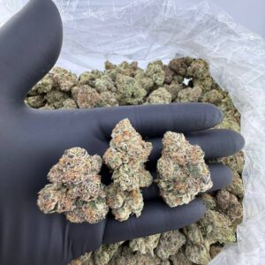 Alternative view of Lemon Wafers Gelato 1 Pfund