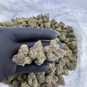 Alternative view of Lemon Wafers Gorilla Glue 1 Pfund