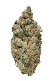 Sweet Diesel Marijuana Strain DE