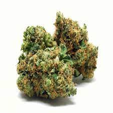 Buy Orange Kush Weed Strain De