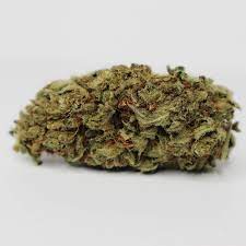 West Coast Diesel Marijuana Strain DE