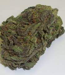 Sheila Marijuana Strain DE