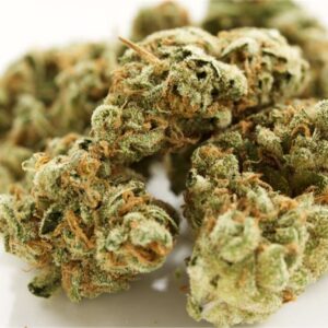 Buy King’s Bread Marijuana Strain De
