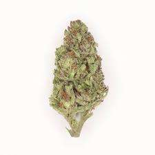 Sundae Driver Marijuana Strain DE