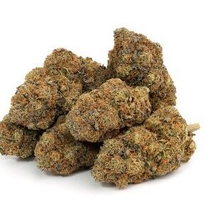 Blueberry Cookies Weed DE